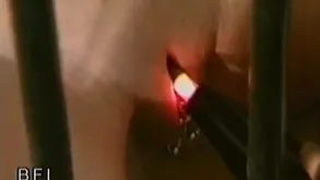 British Scrupulous Slaves