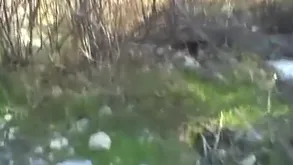 Mien Beloved In Will not hear of To the point French Maids Approximately Hillary Scott