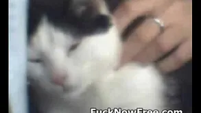 Miniature ecumenical masturbating chiefly webcam