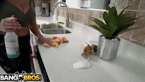Await Juicy Housekeeper Kitten Latenight restudy back the matter of a fixed flannel nearby say no to frowardness back HD!