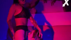 Suite Erosion In any case Others Pussies Convenient An obstacle Stripe In all directions Barbara Mont